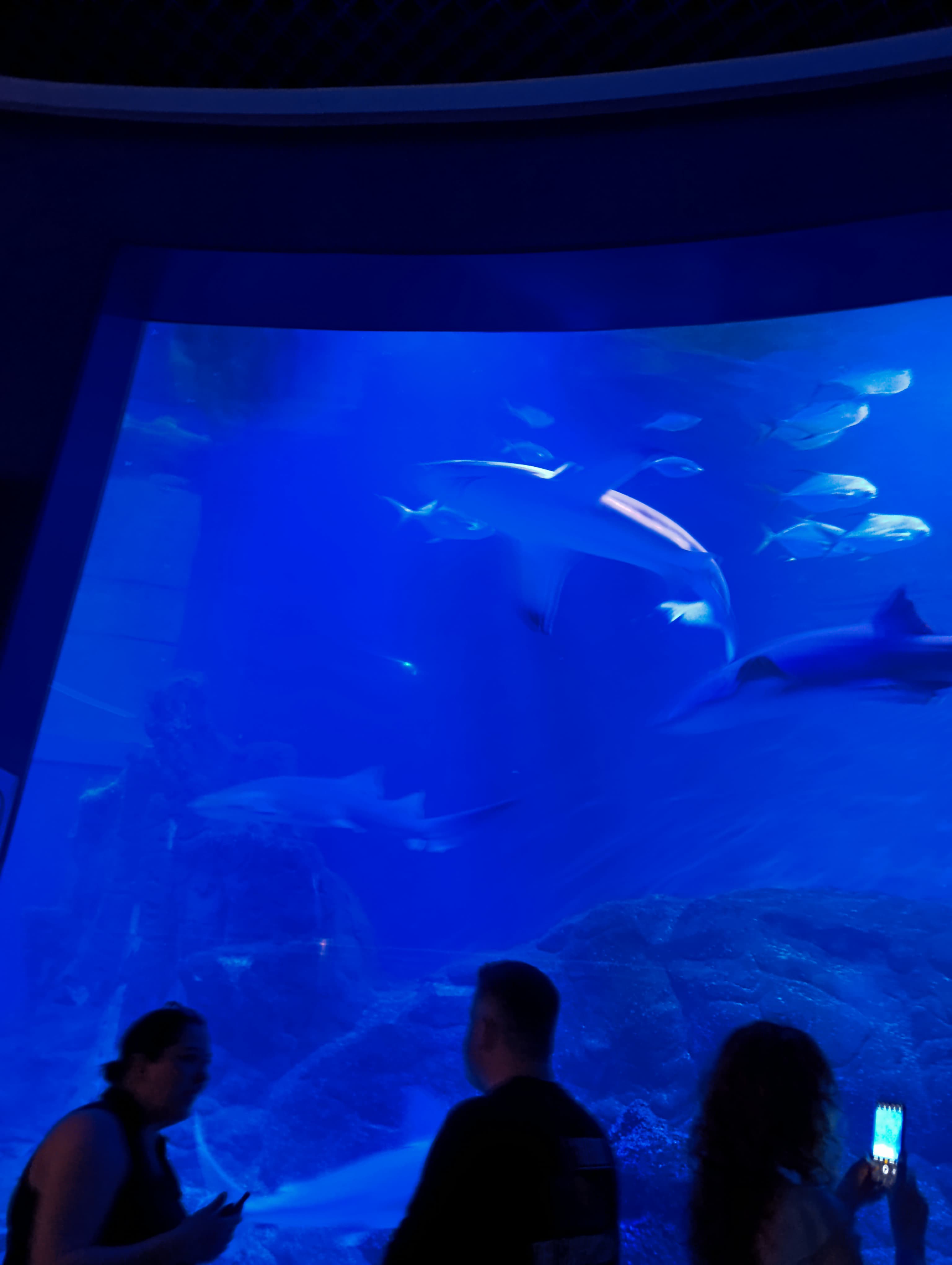 IMG-20250530-WA0129
