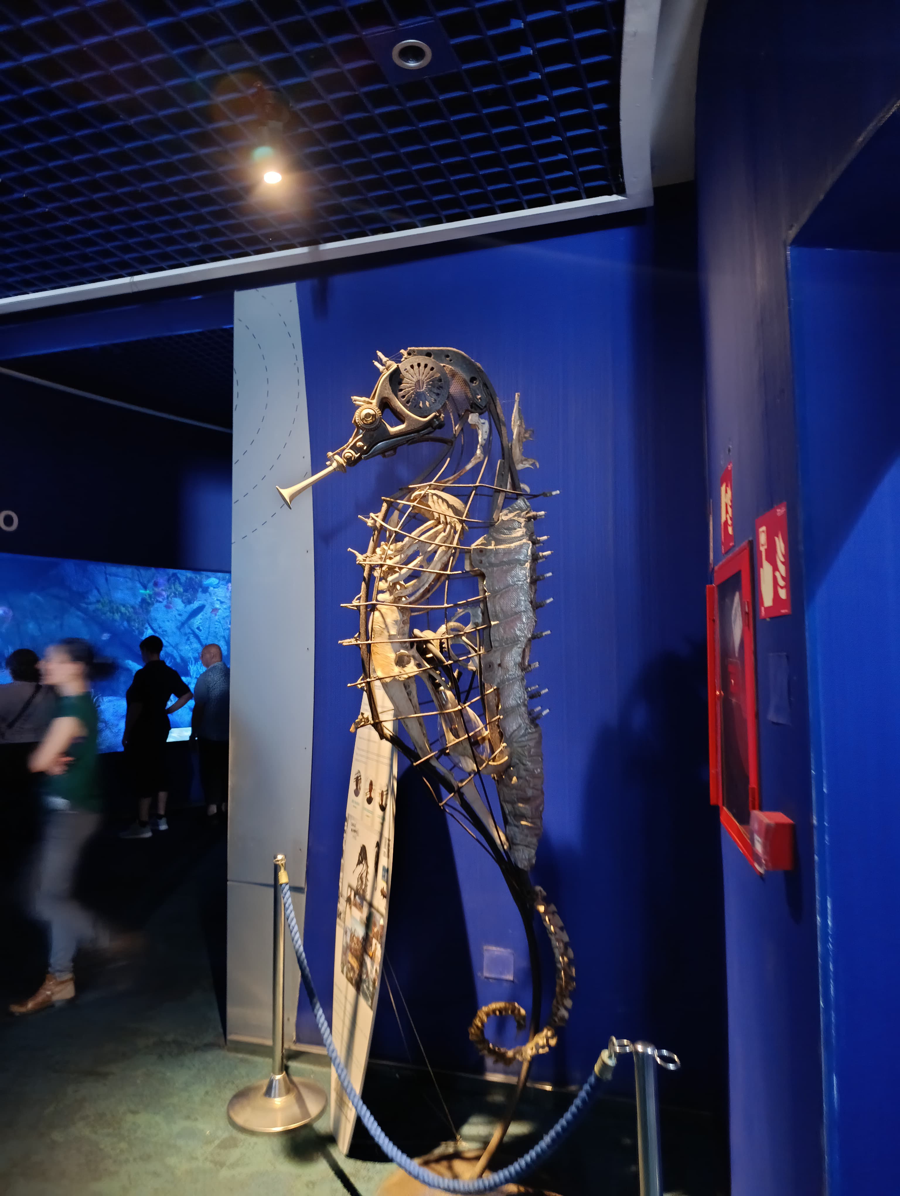 IMG-20250530-WA0142