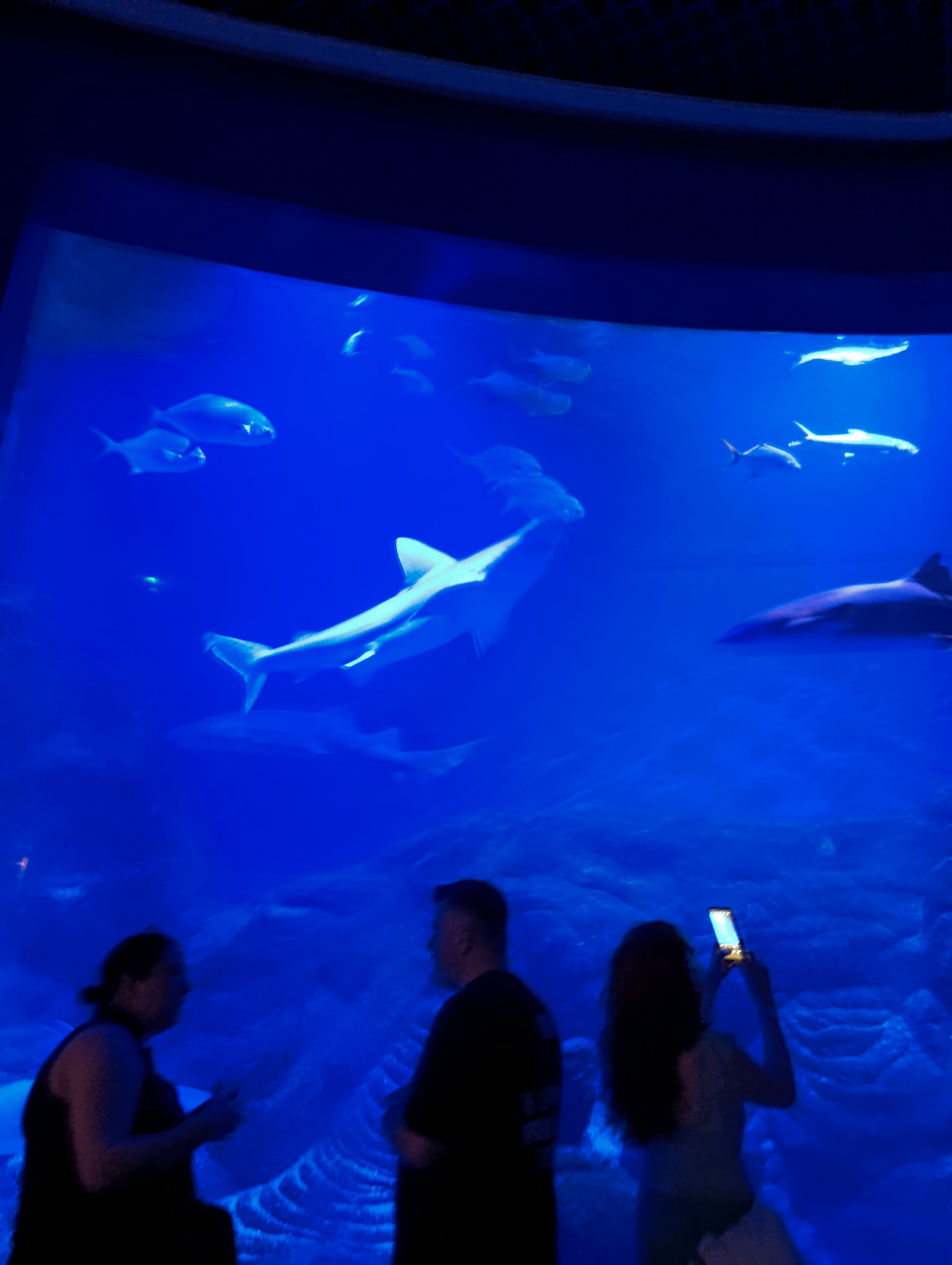 IMG-20250530-WA0143