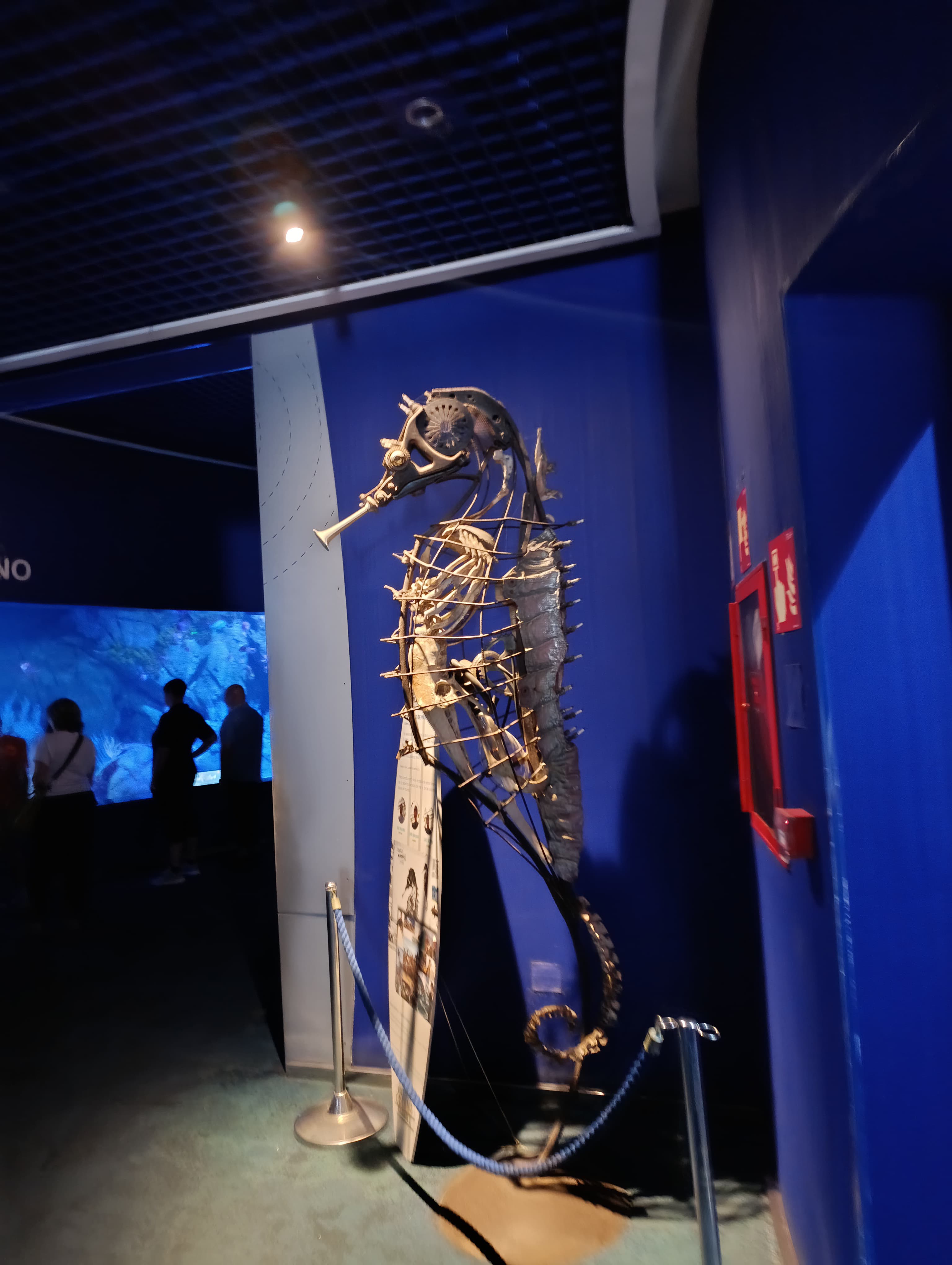IMG-20250530-WA0155