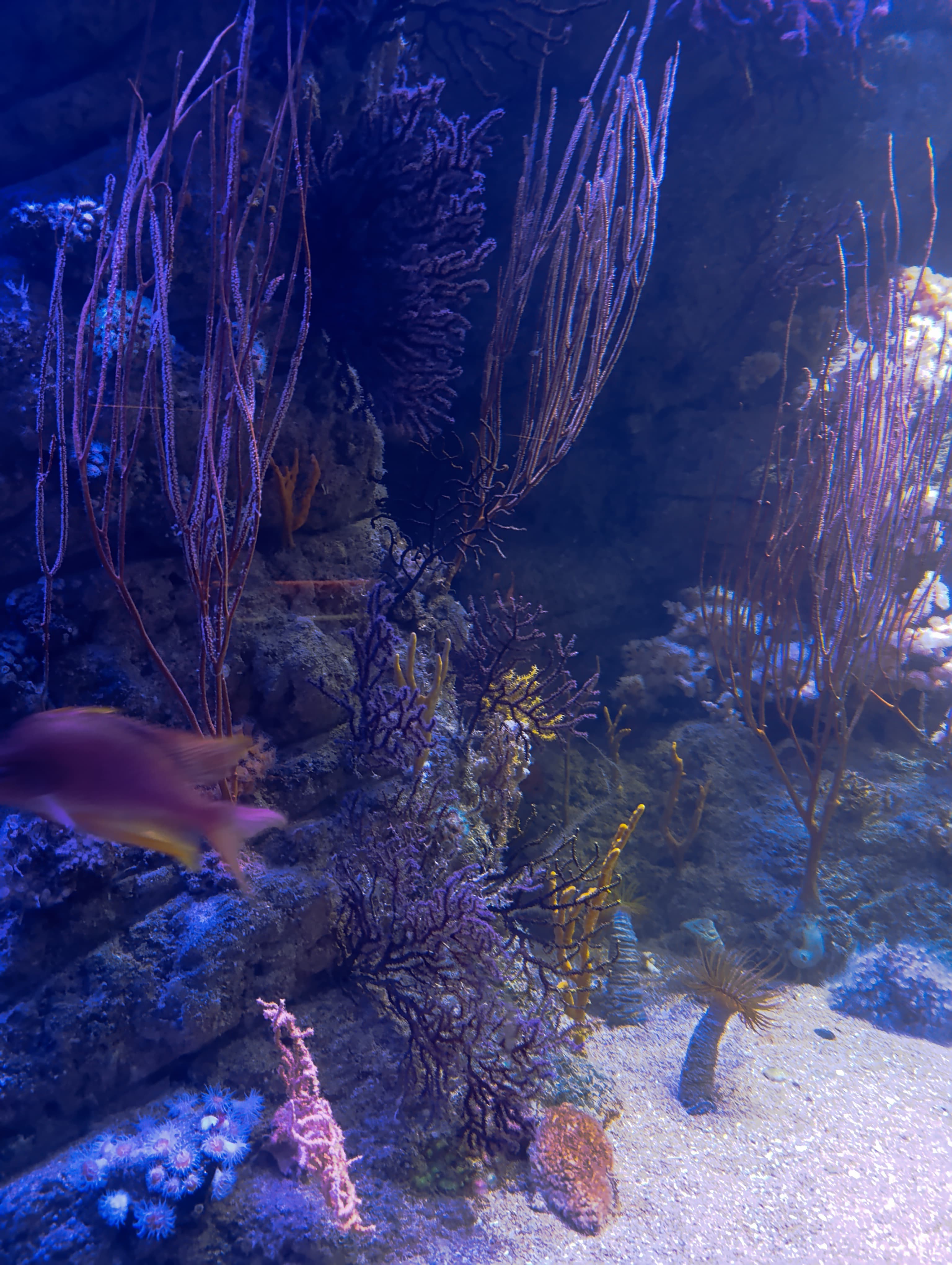 IMG-20250530-WA0223