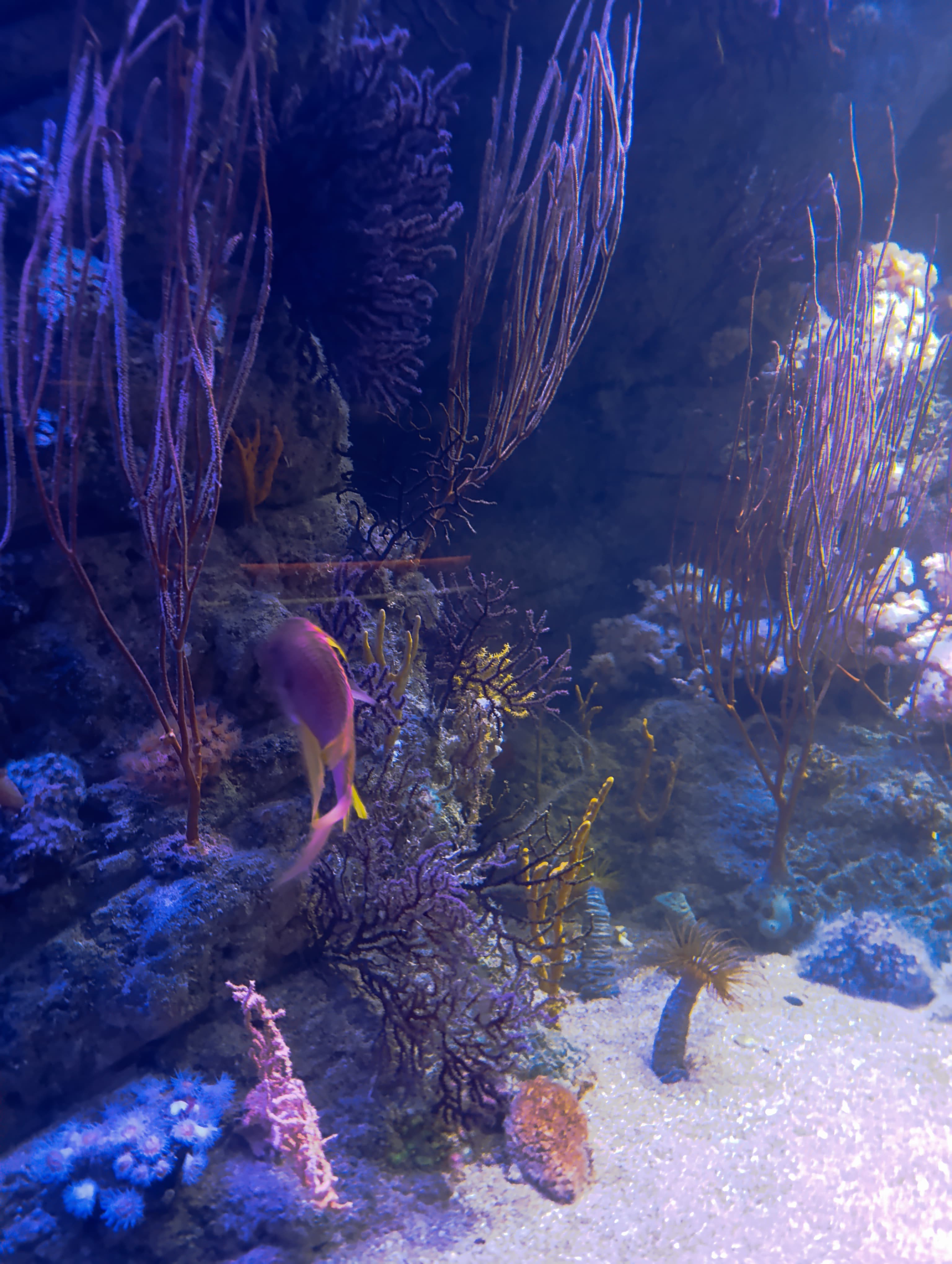 IMG-20250530-WA0224