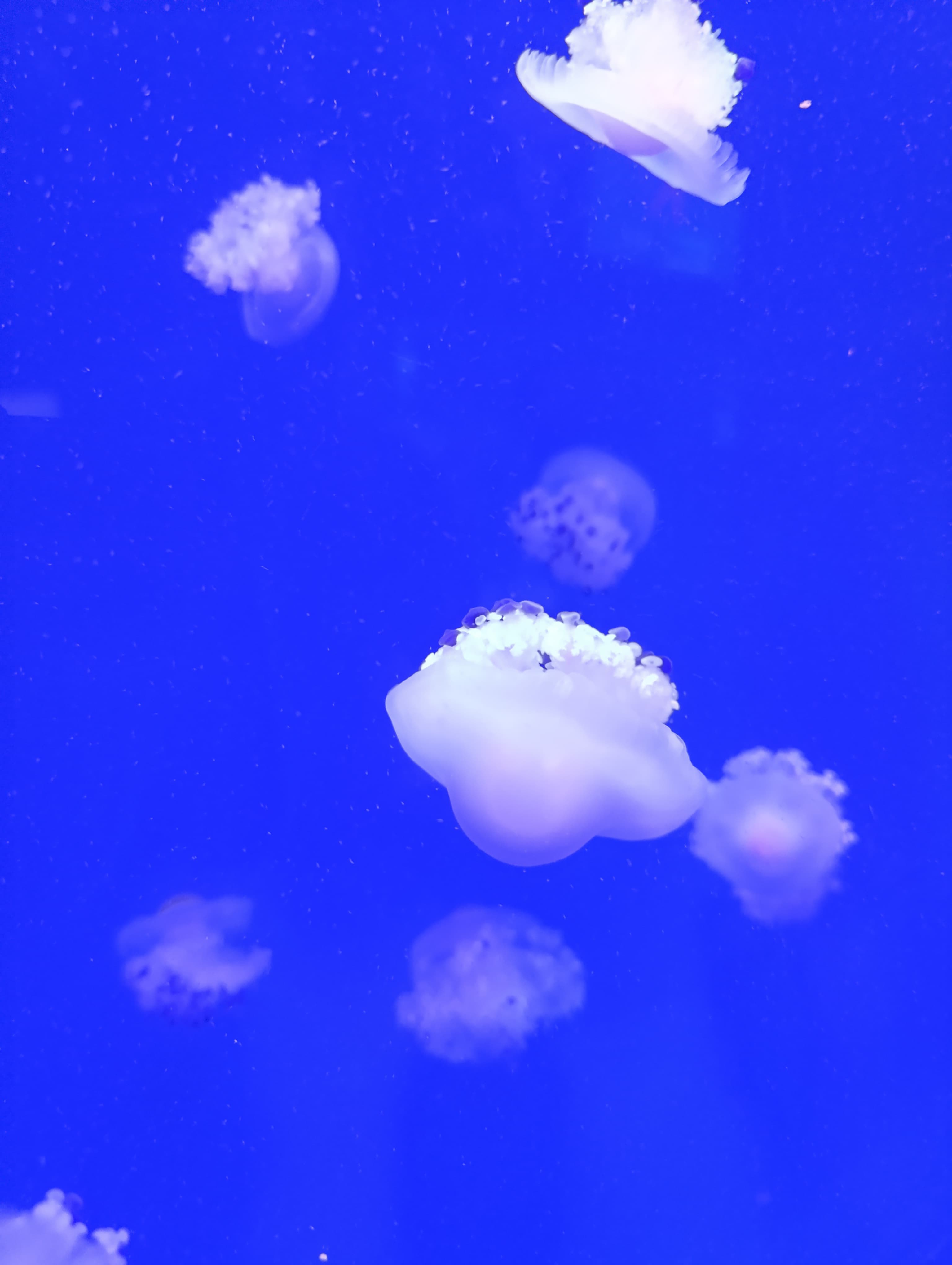 IMG-20250530-WA0228