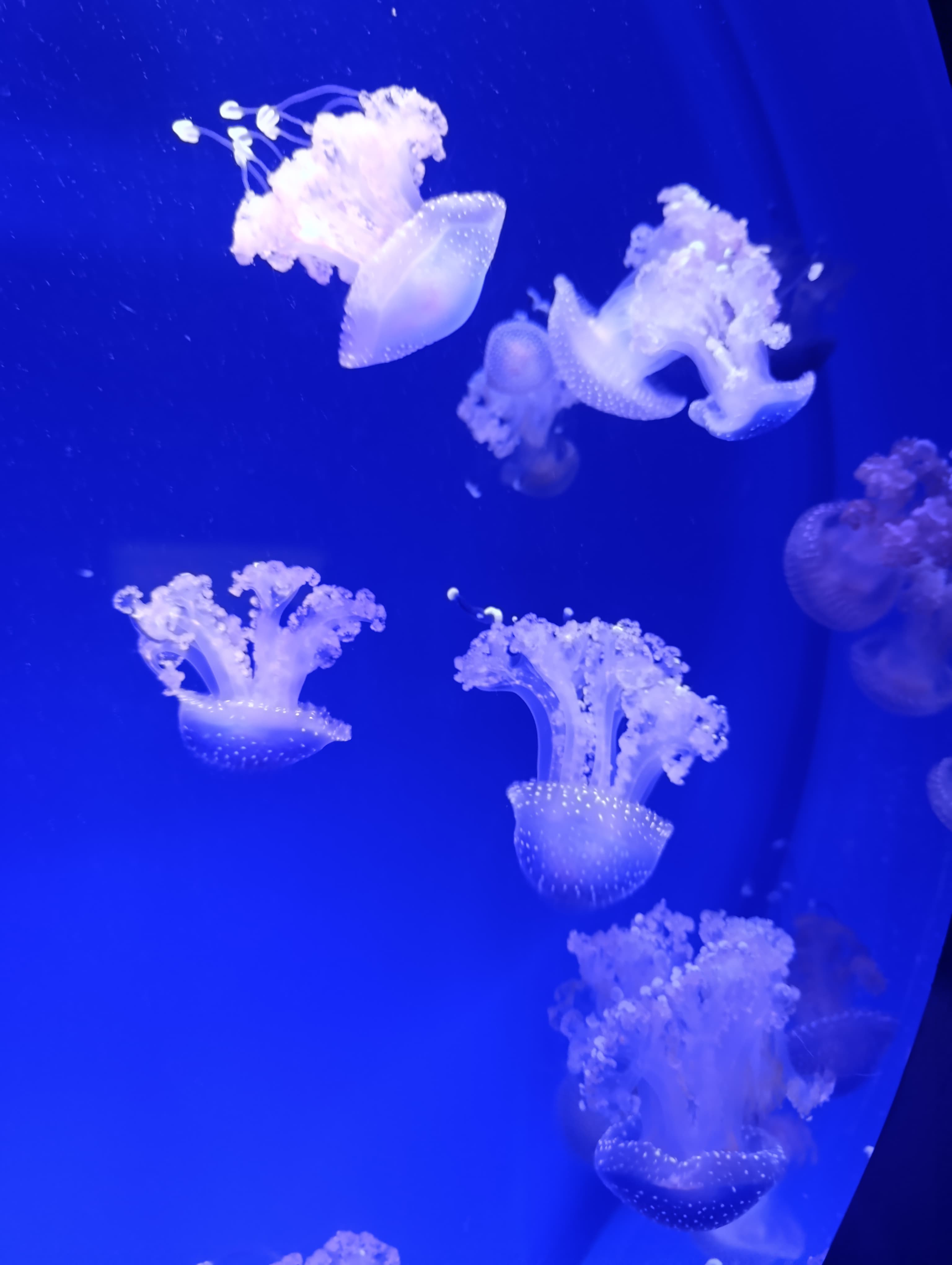 IMG-20250530-WA0229