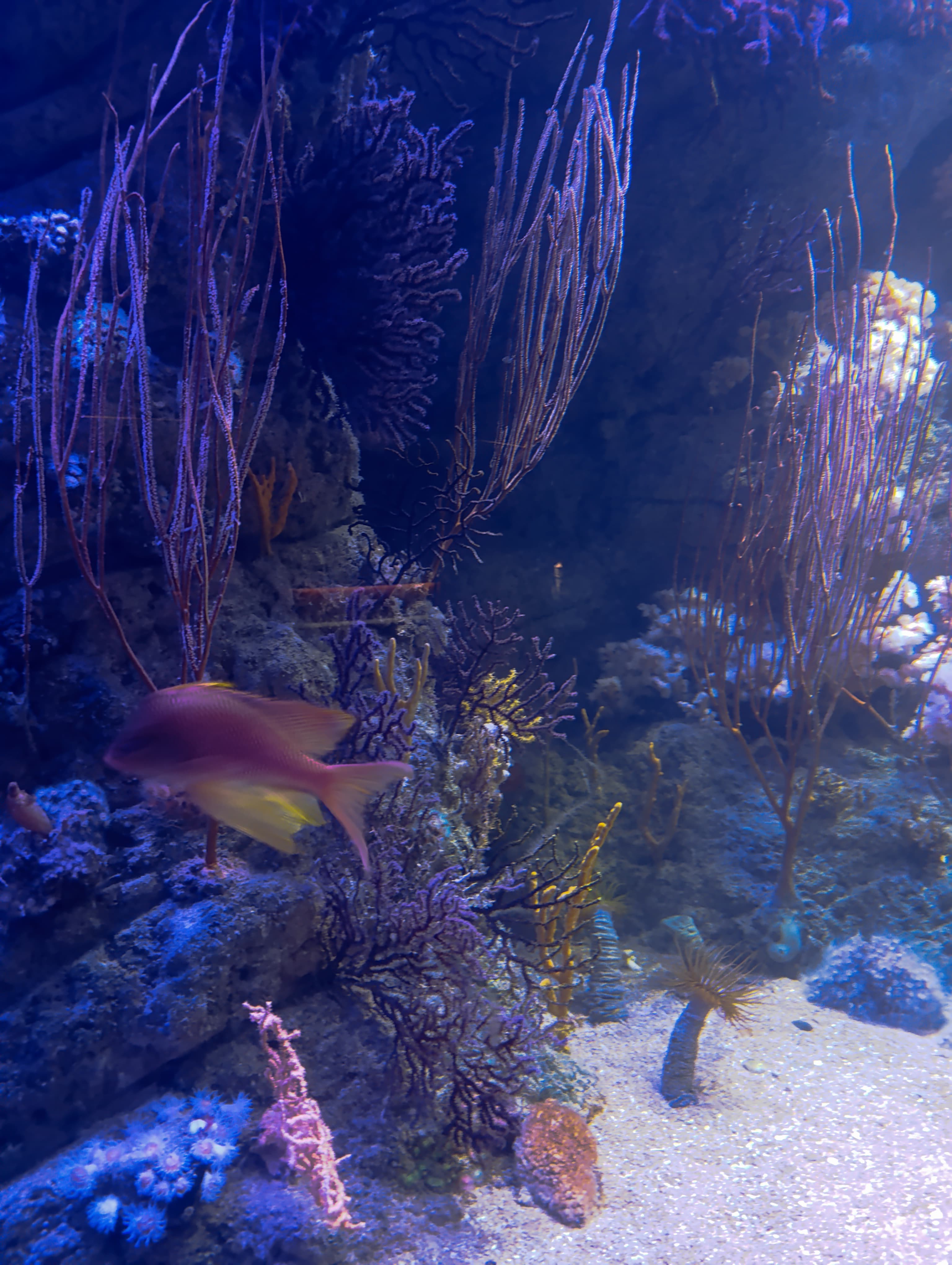 IMG-20250530-WA0232