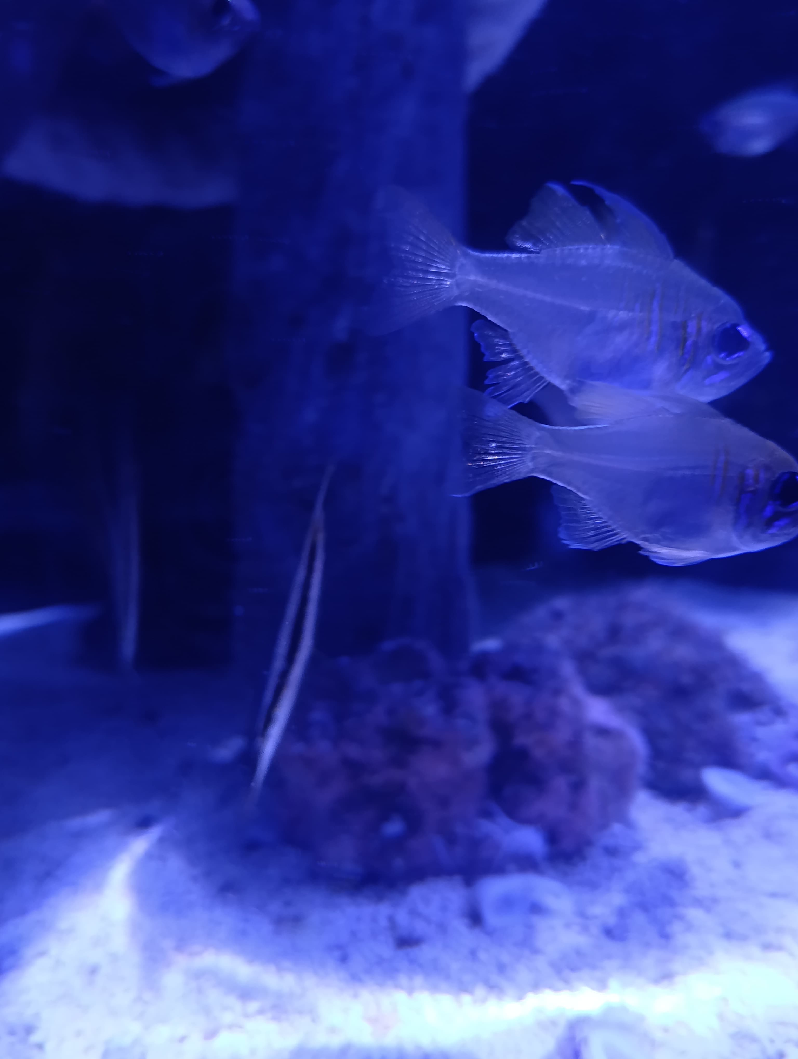 IMG-20250530-WA0256