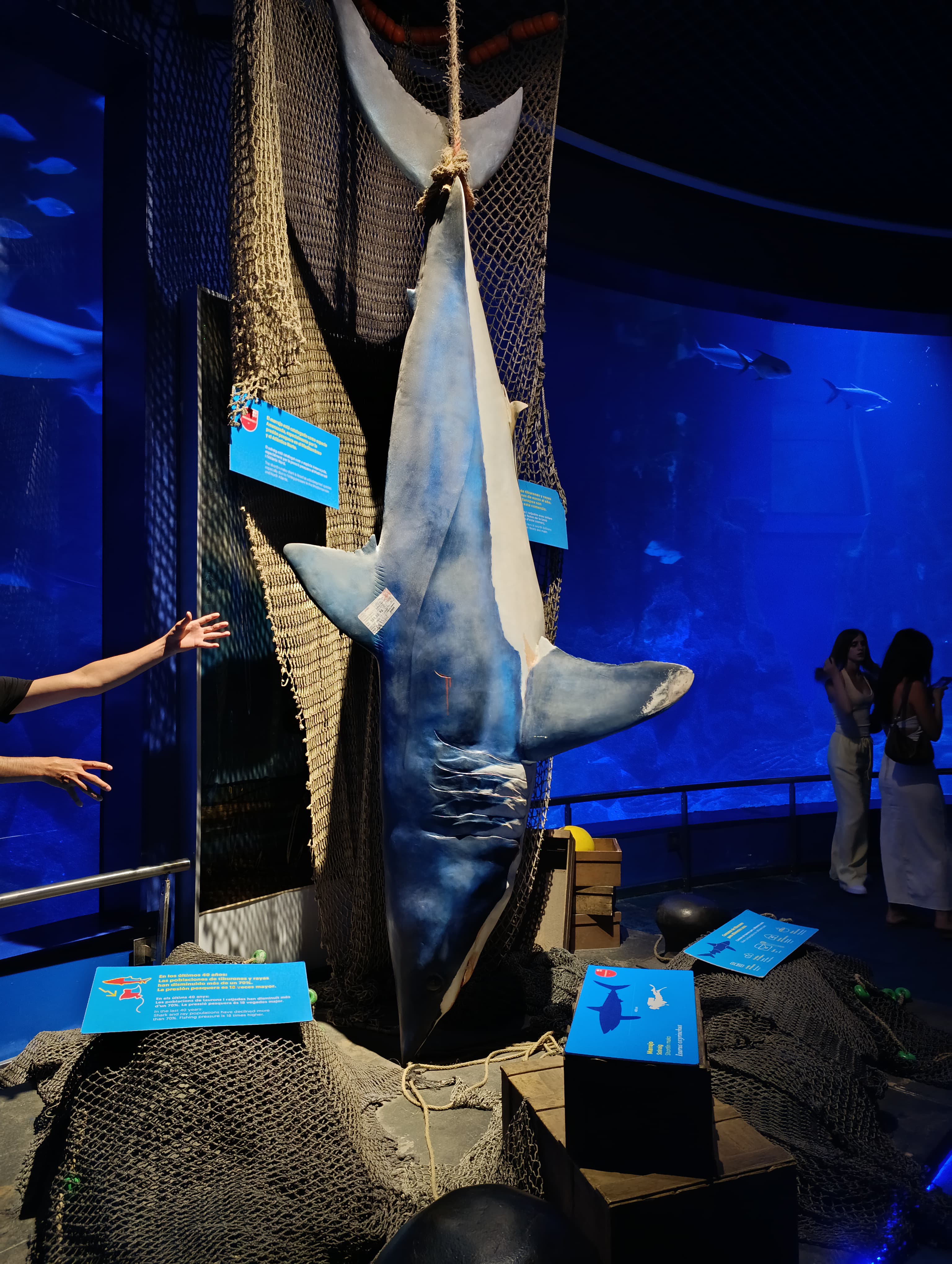 IMG-20250530-WA0269
