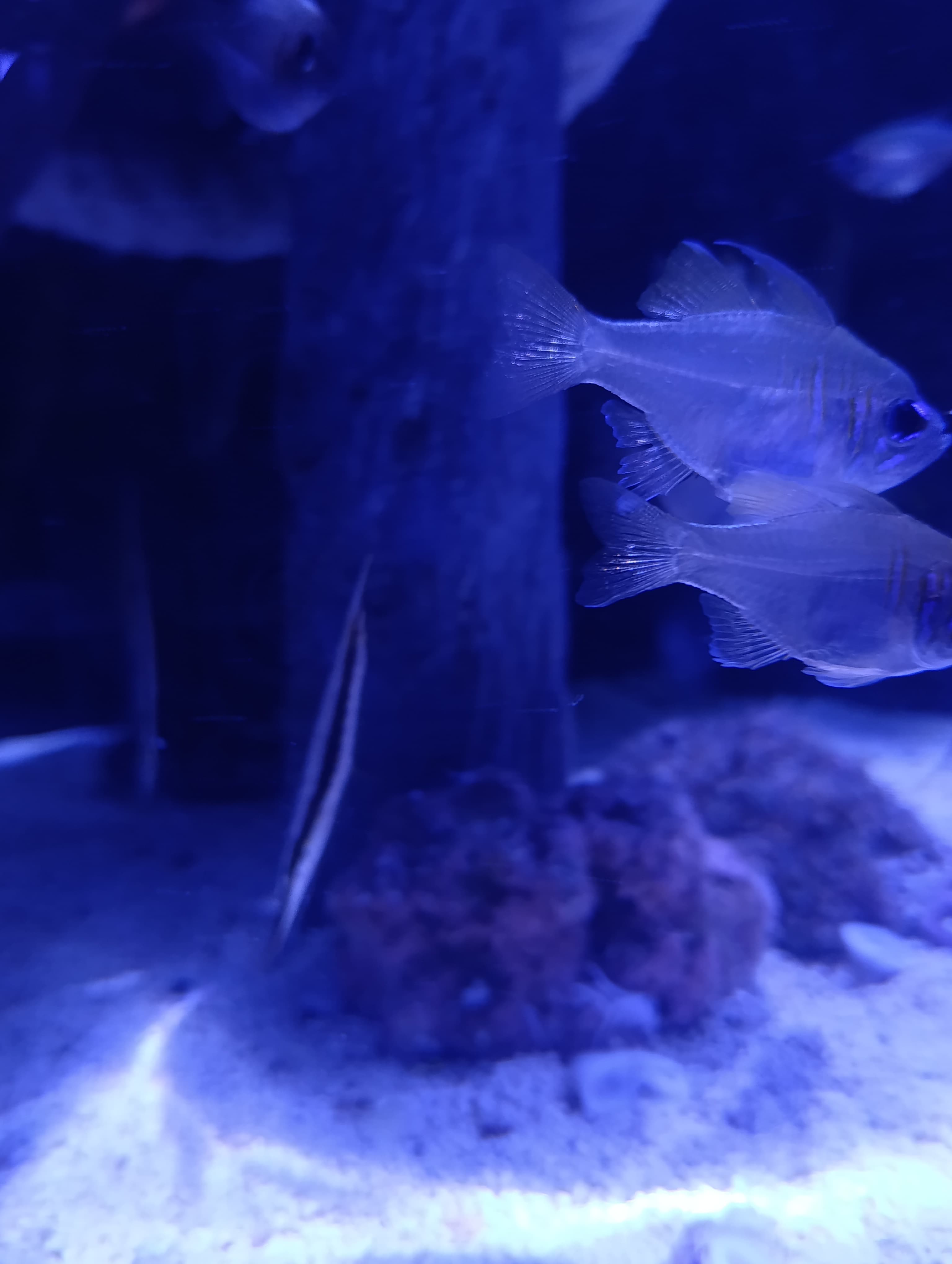 IMG-20250530-WA0275