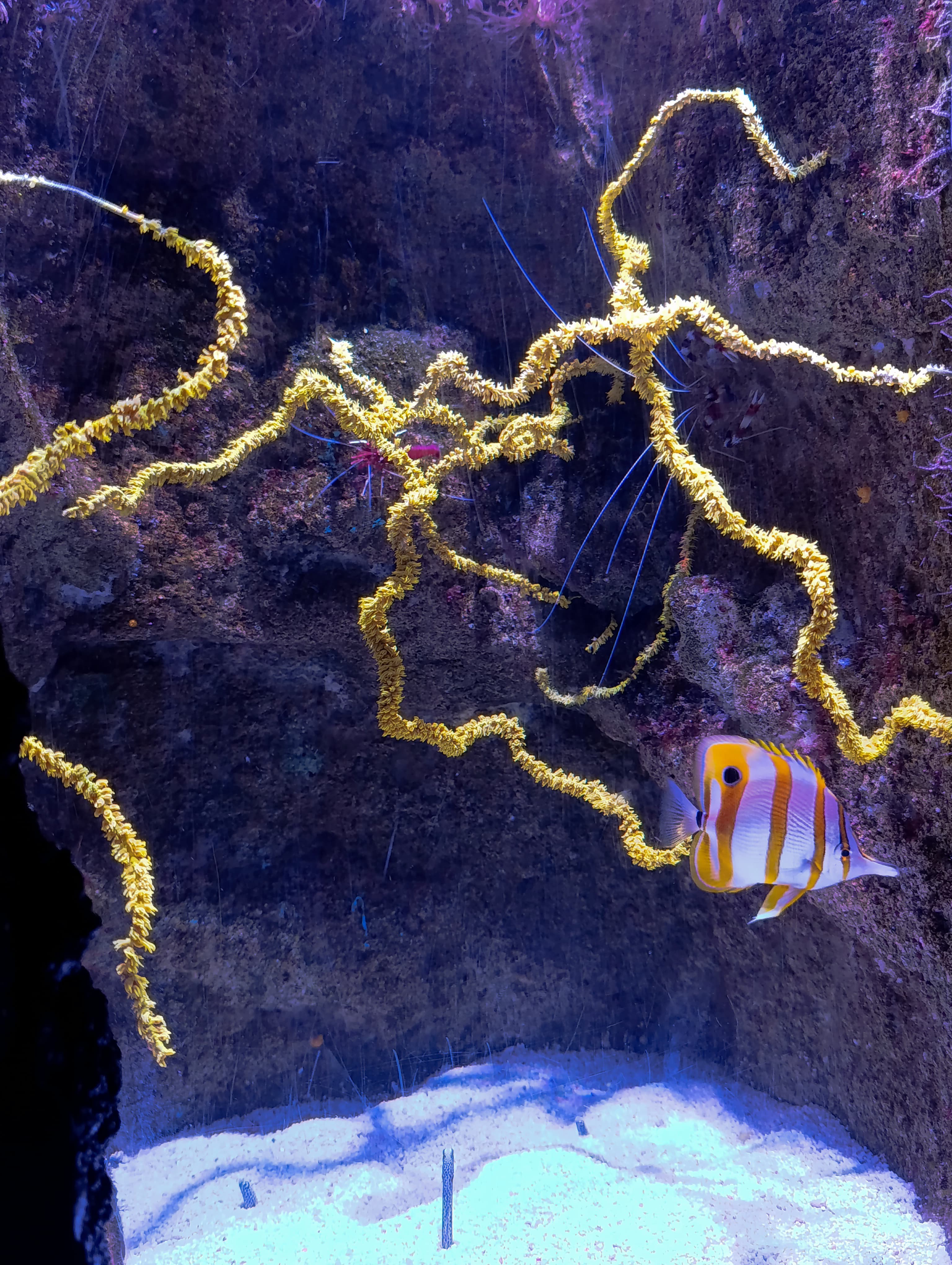 IMG-20250530-WA0295
