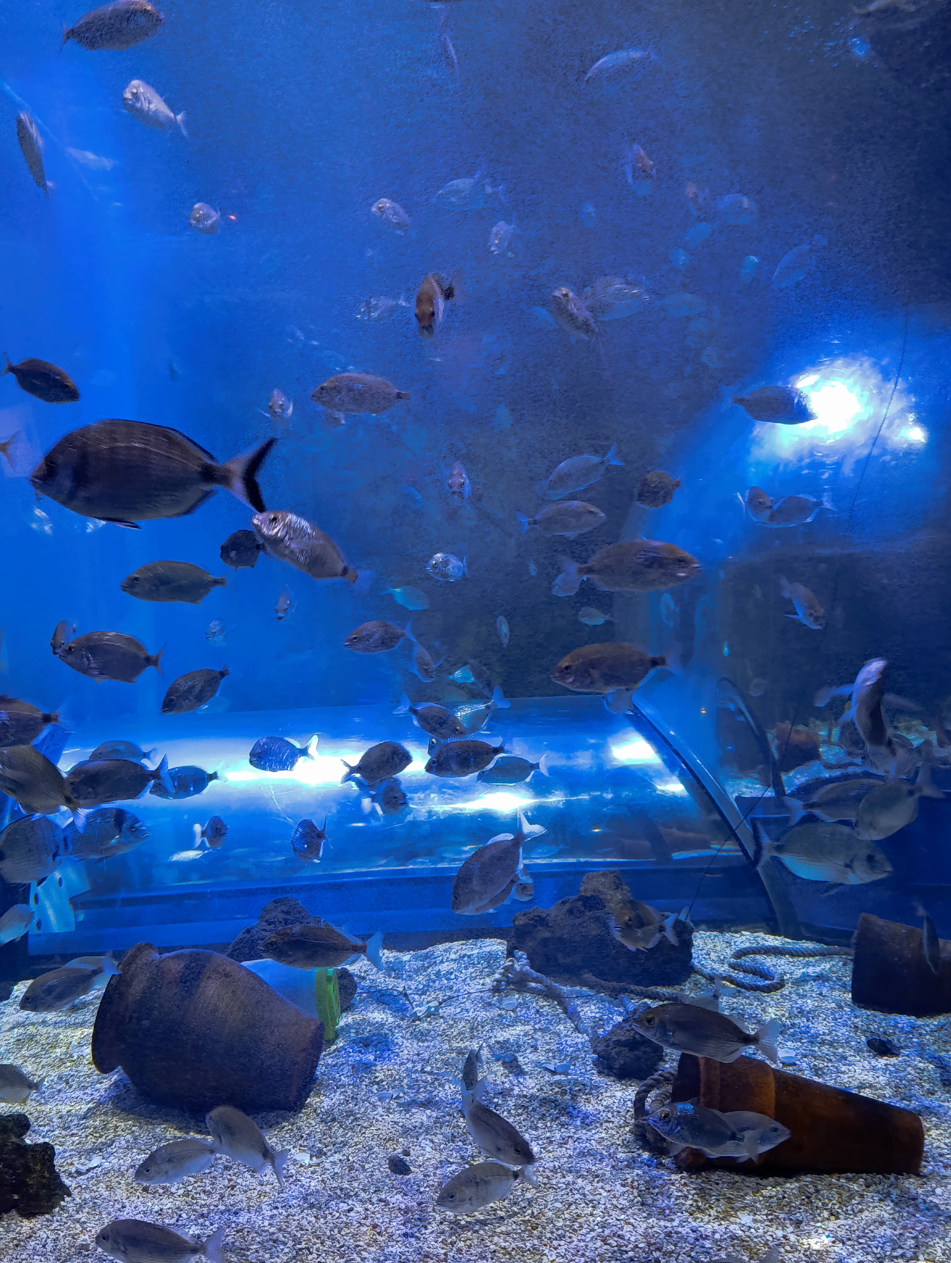 IMG-20250530-WA0299