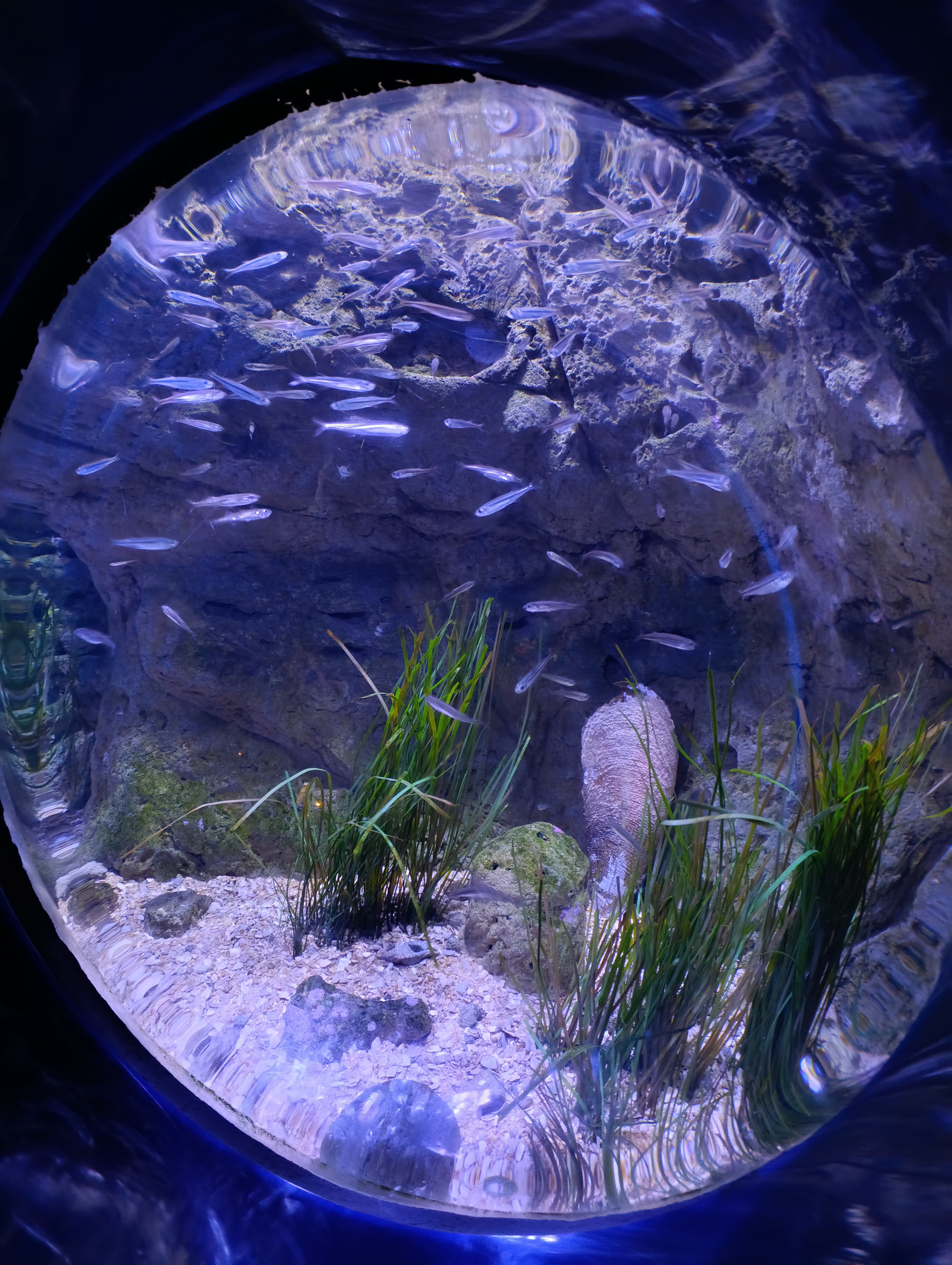 IMG-20250530-WA0304