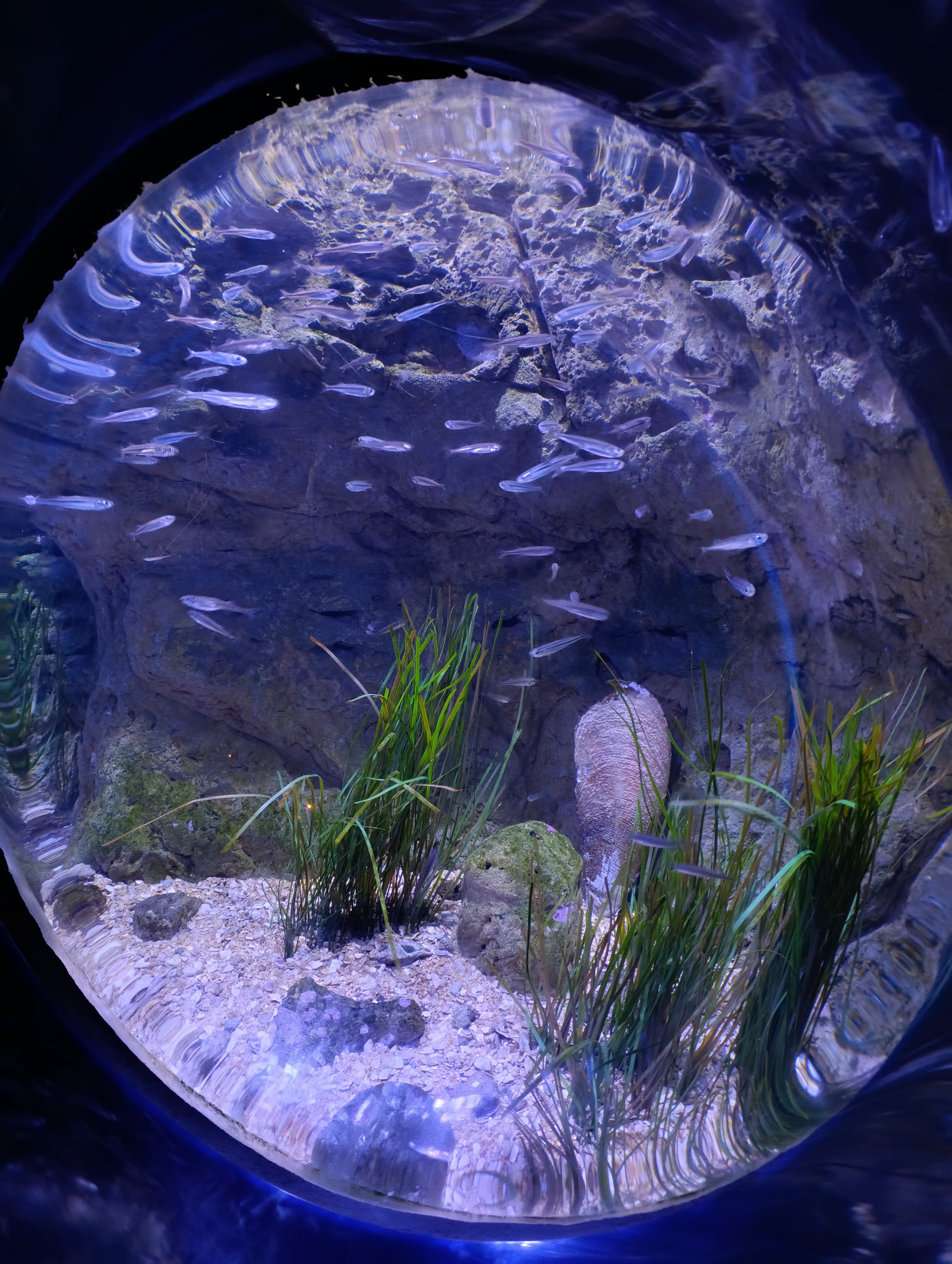 IMG-20250530-WA0311