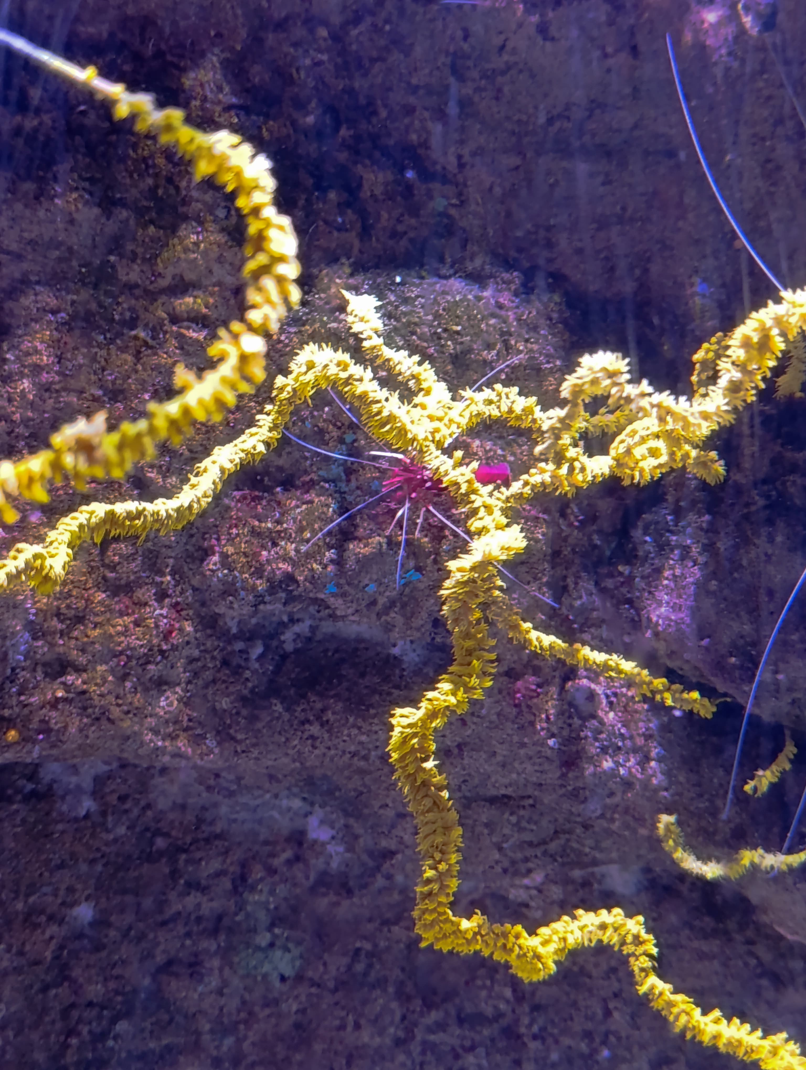 IMG-20250530-WA0315