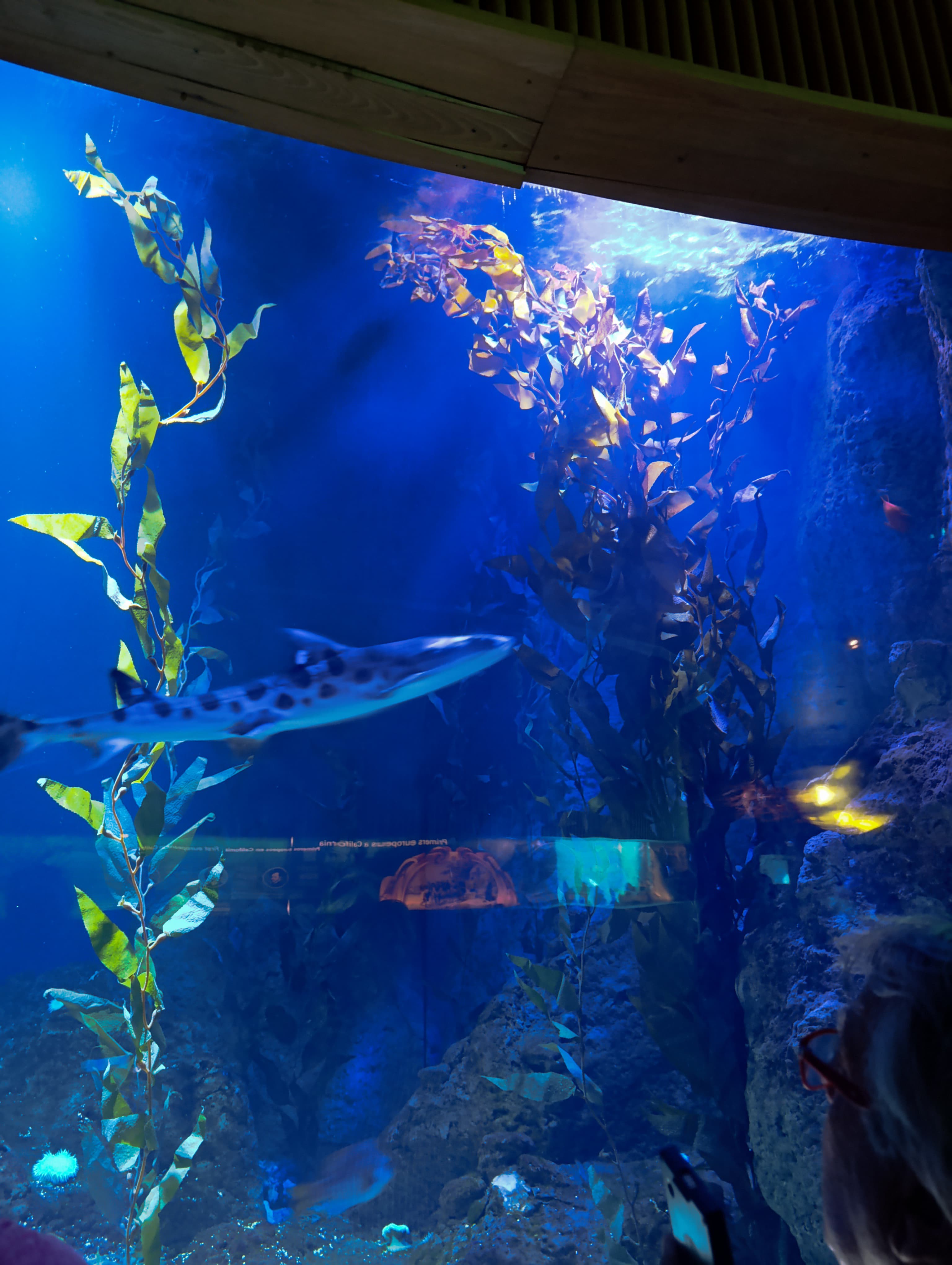 IMG-20250530-WA0341