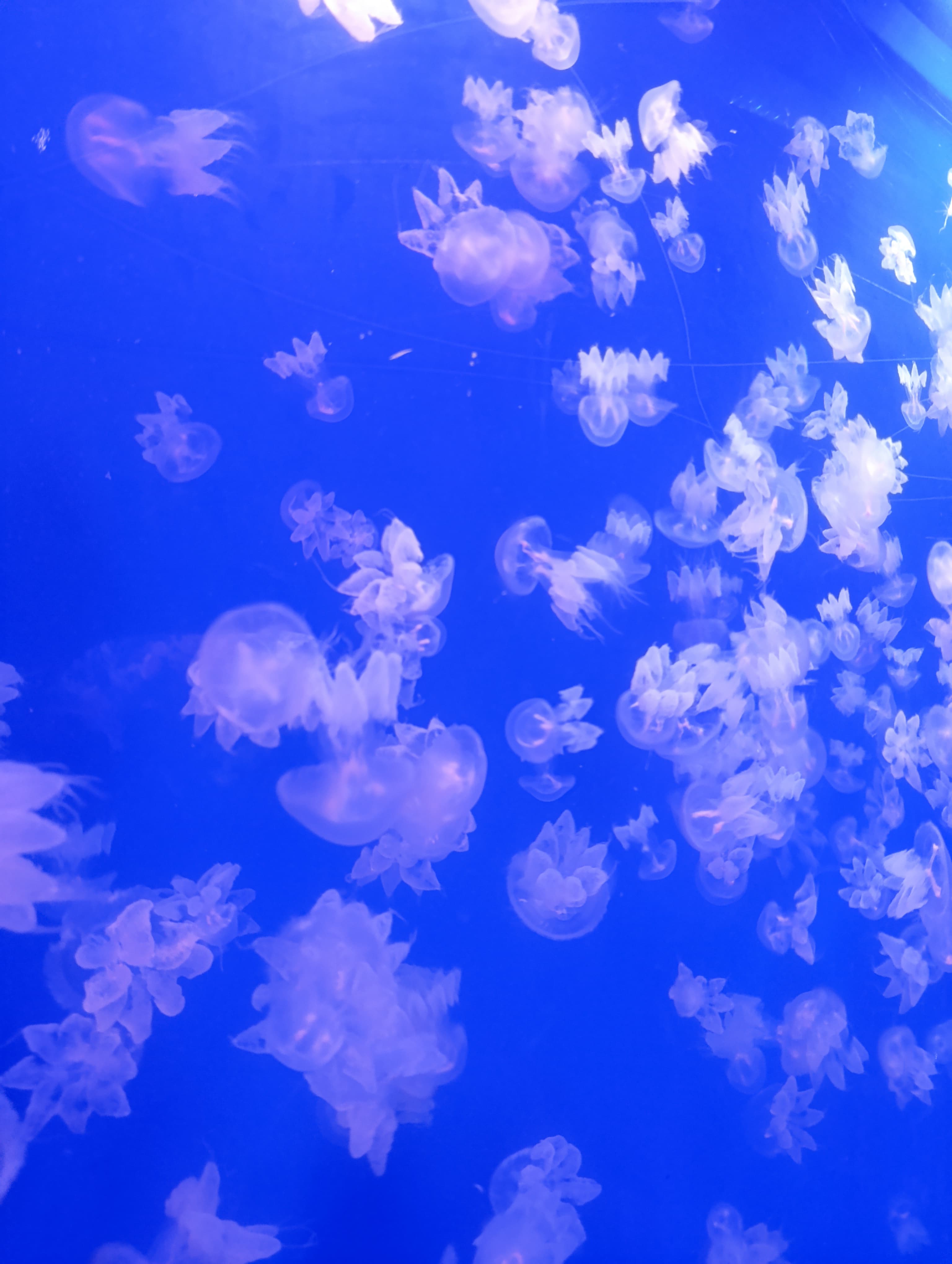 IMG-20250530-WA0416