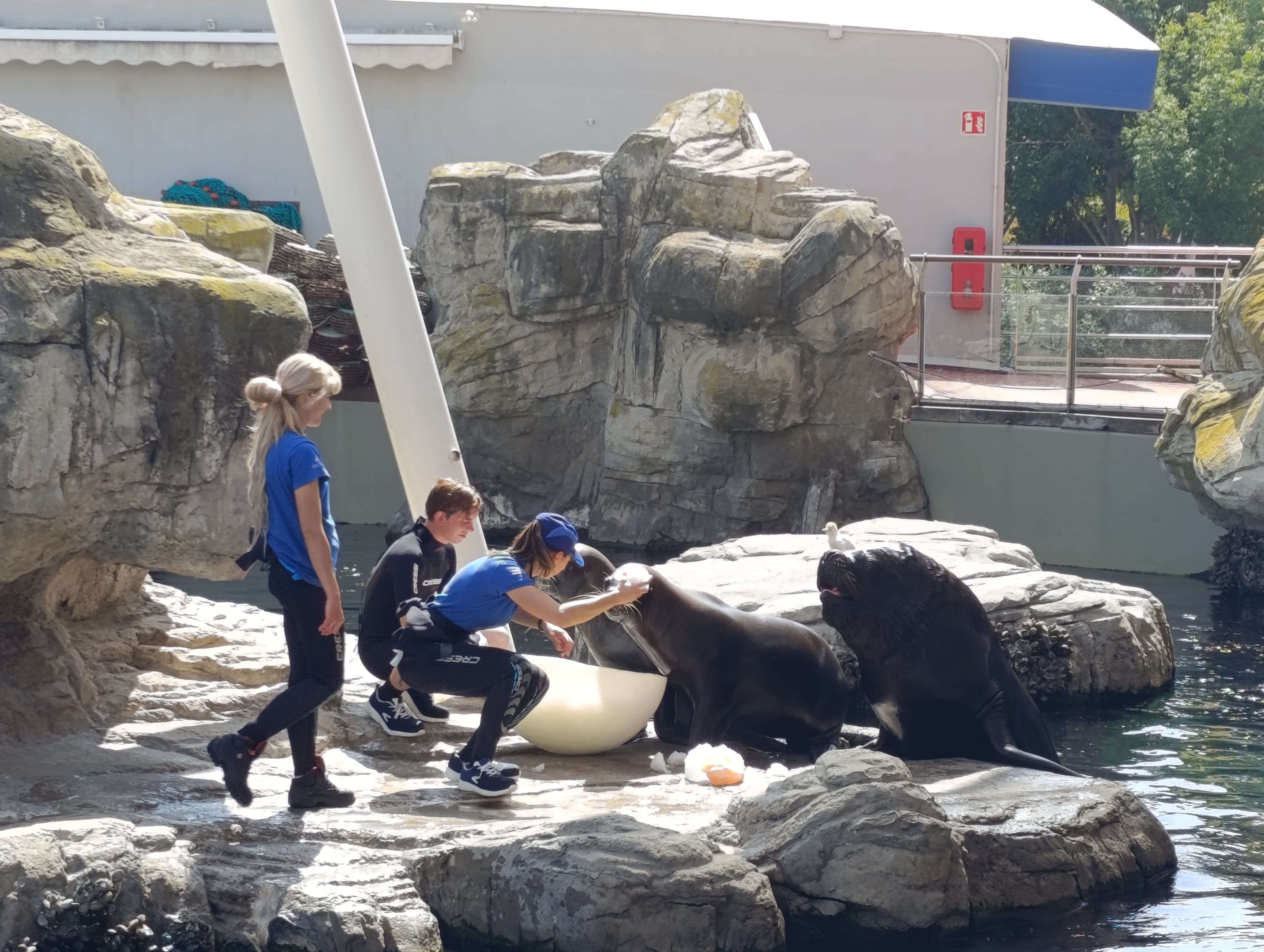 IMG-20250530-WA0449