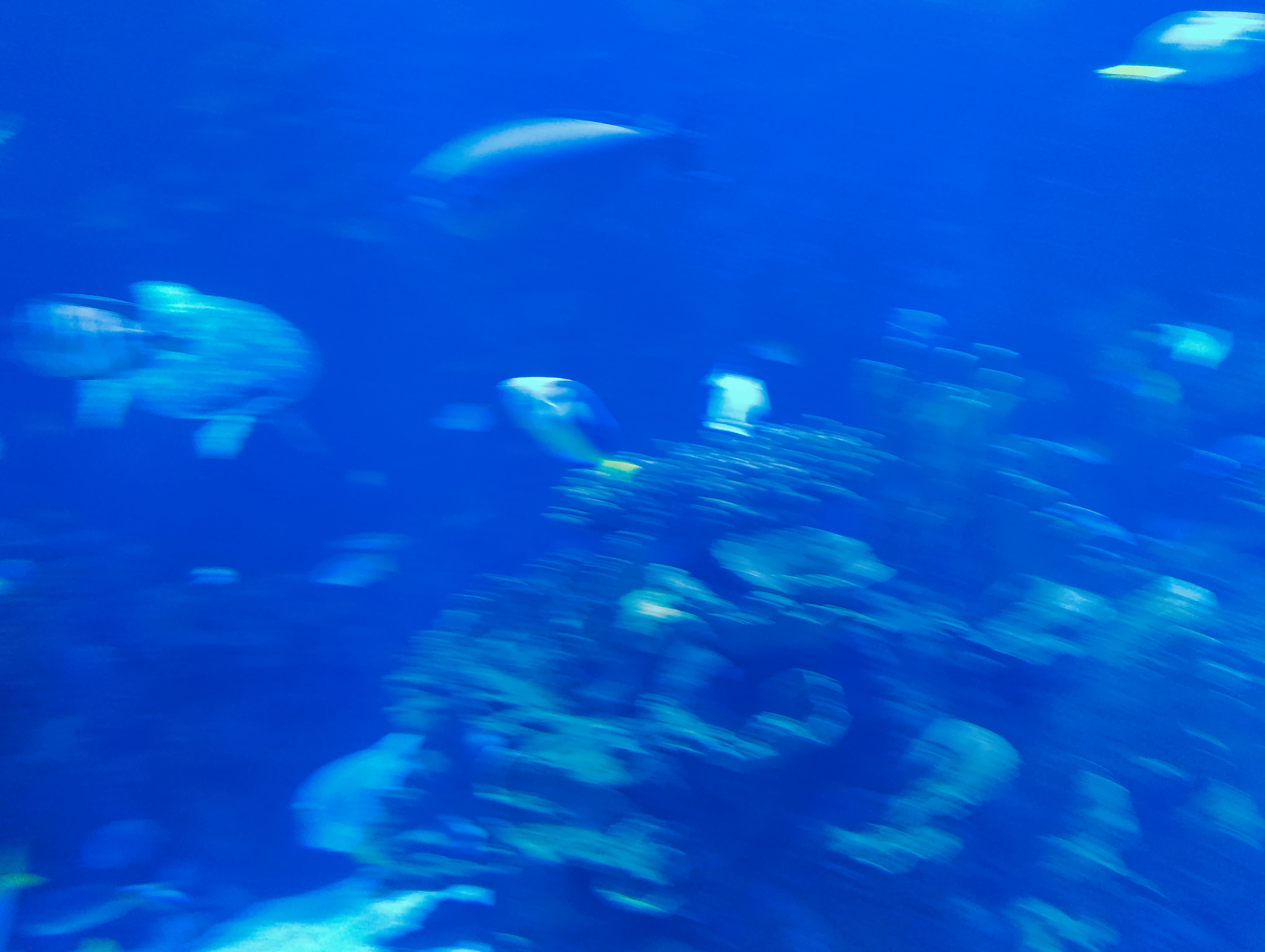 IMG-20250530-WA0528