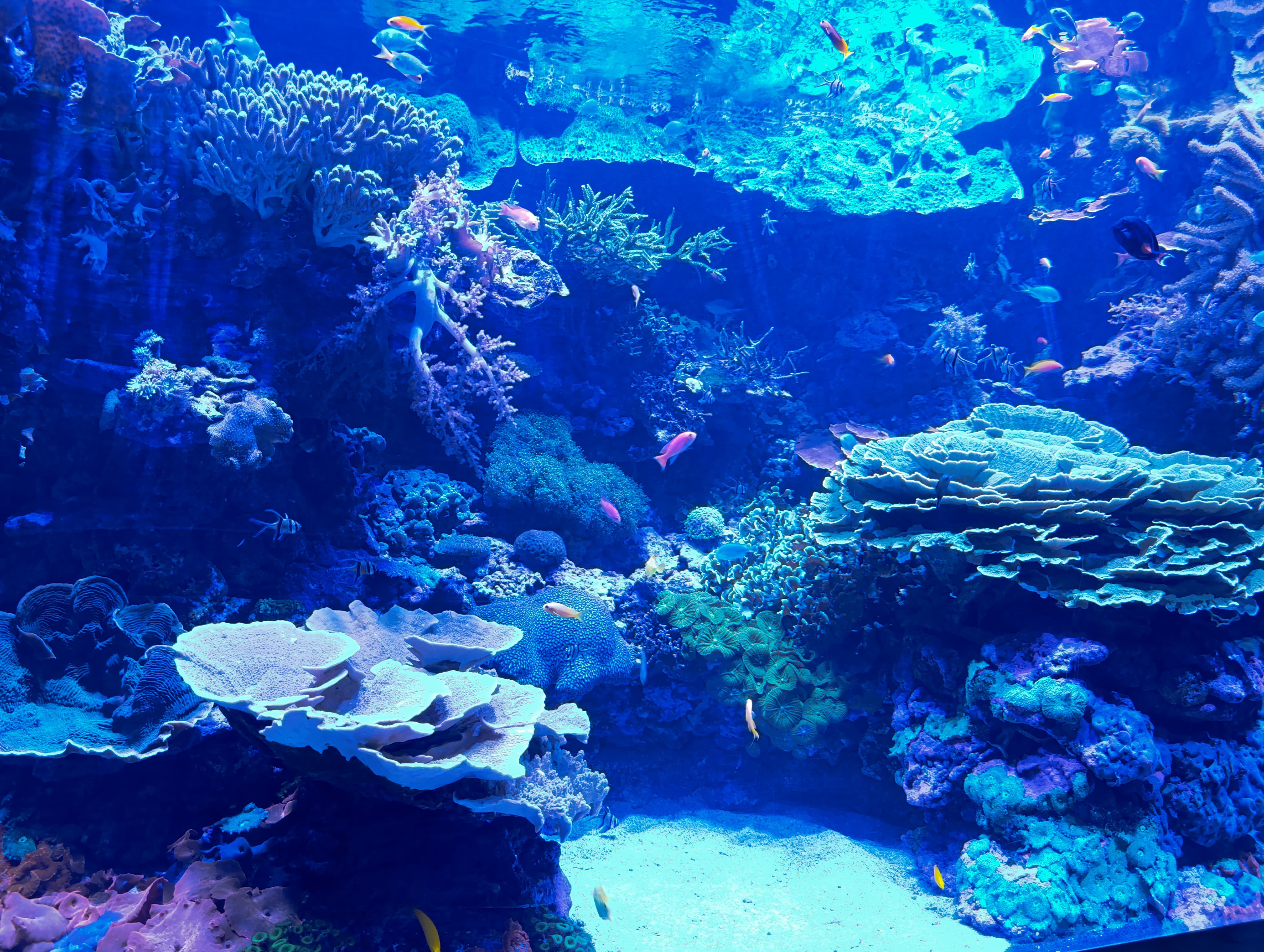 IMG-20250530-WA0566